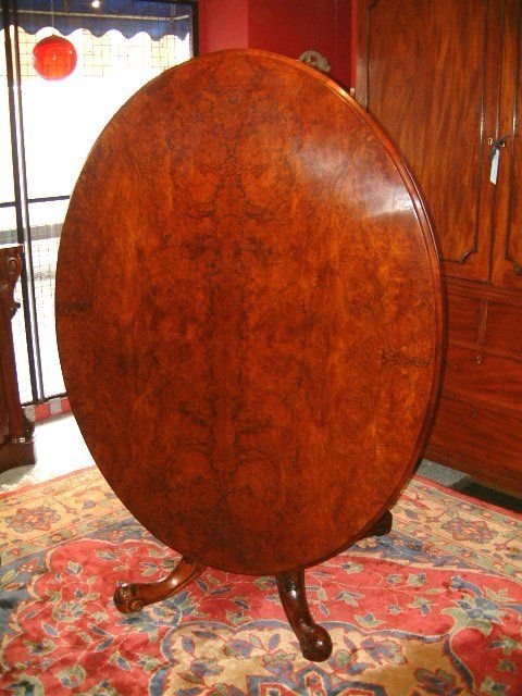 oval victorian burr walnut pedestal dining table
